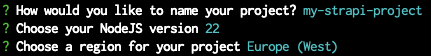 Strapi Cloud terminal questions and answers